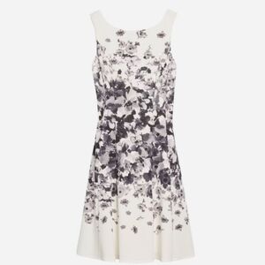 Maggy London Black and White Floral Fit and Flare Dress